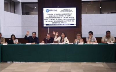 AVALAN EN COMISIÓN DICTÁMENES SOBRE ESPECIES EN PELIGRO DE EXTINCIÓN Y RESPONSABILIDAD AMBIENTAL